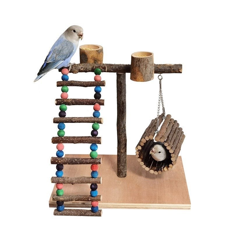 Solid Wood Parrot Training Station – Bird Shelf & Toys - Image 2